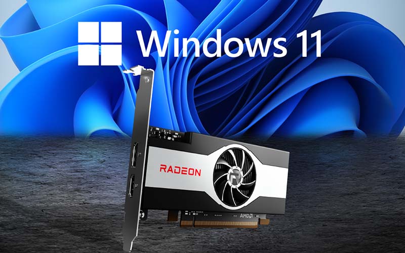 Windows 11: what about this DirectX 12 graphics card?