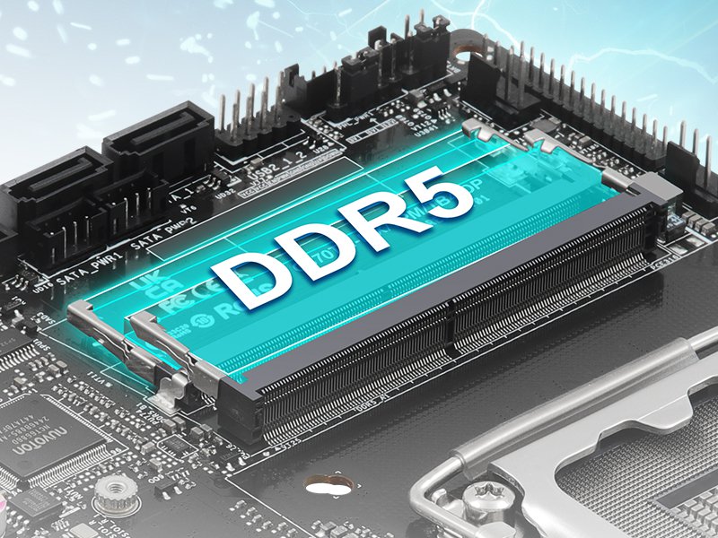 Dual Formats. High-Speed Memory.