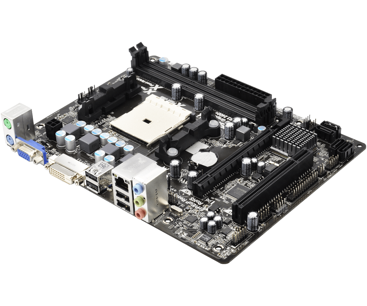 Asrock a55m dgs совместимость