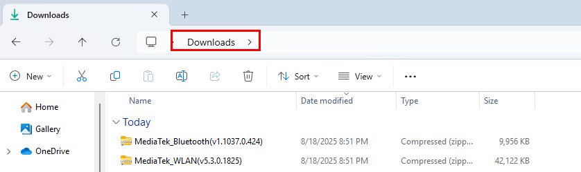 The drivers will be saved in the Downloads folder of your Windows system.